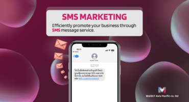 SMS Marketing efficiently promote your business through SMS message service