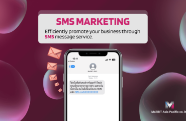 SMS Marketing efficiently promote your business through SMS message service