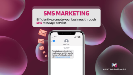 SMS Marketing efficiently promote your business through SMS message service